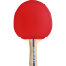 Raquete de Tênis de Mesa Iniciante Butterfly Clássica LIN YUN JU S-1